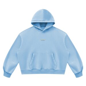 WALK HUMBLY – MICAH 6:8 VINTAGE WASH BOXY FLEECE HOODIE